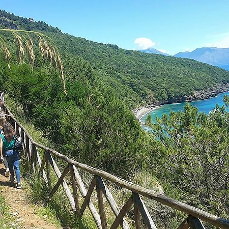 Residence Li Cylentos Policastro Scario A 2 Passi Dal Mare Policastro Bussentino Luaran gambar